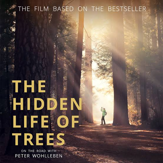 The Hidden Life of Trees