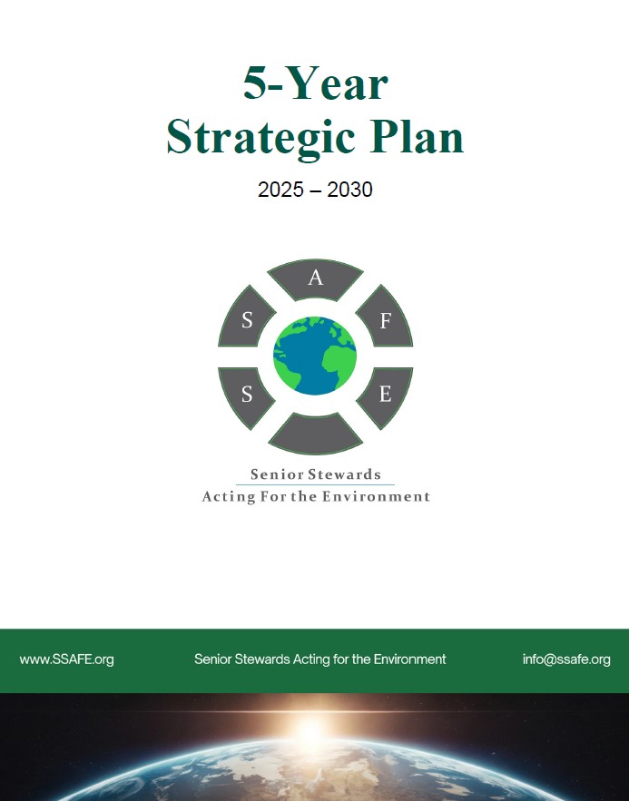 SSAFE 5-Year Strategic Plan 2025-2030