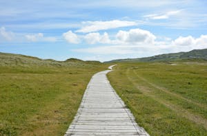 A tranquil scene of a wooden pathway through lush green meadows under a bright blue sky.