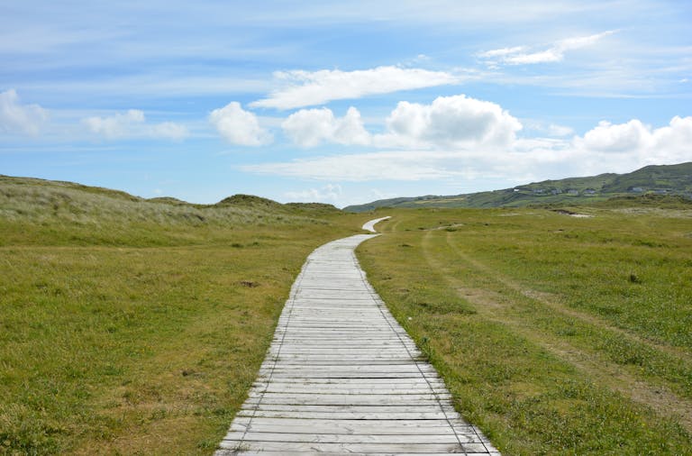 A tranquil scene of a wooden pathway through lush green meadows under a bright blue sky.